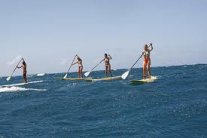 Paddle surf 3